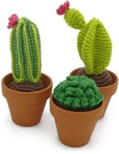 Haakpakket – Cactussen haken