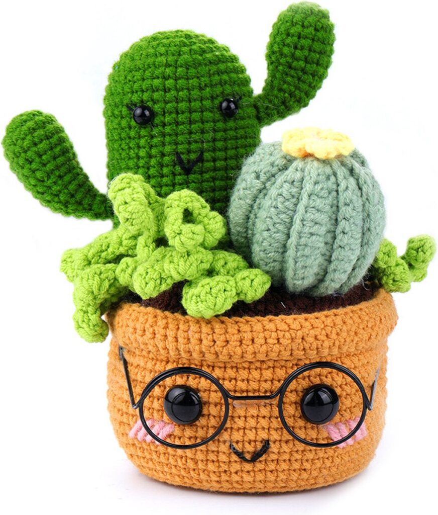 Haakpakket plantencombinatie beginners