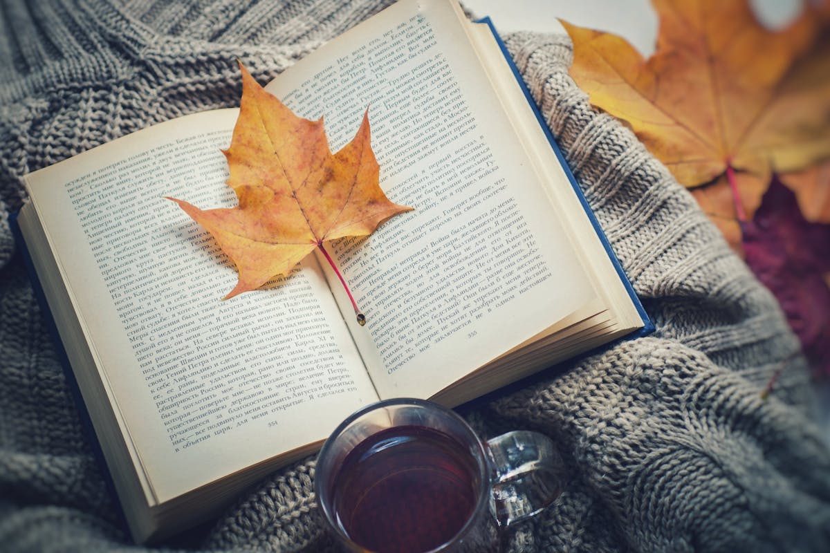 herfstblaadjes haken gratis patroon?