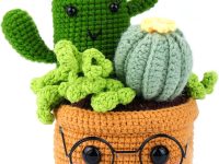 Haakpakket plantencombinatie beginners